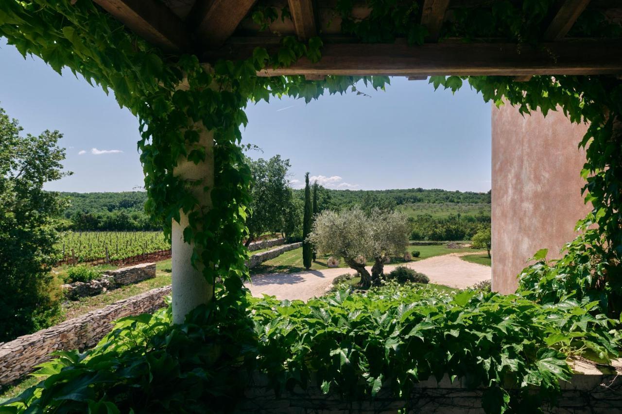 Winery Cuj Bed & Breakfast Vilanija Экстерьер фото